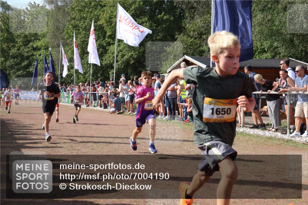 08.09.2024 - Airport Race Strokosch-Dieckow http://msf.ph/oto/7004190 08.09.2024 11:27:23 Ziel 1615, 1616, 1650, 1702, 1703, 1717, 1748, 1777, 1823, 1840, 1848, 1862, 1899, 1932, 1934, 3421, 3425 meine-sportfotos.de