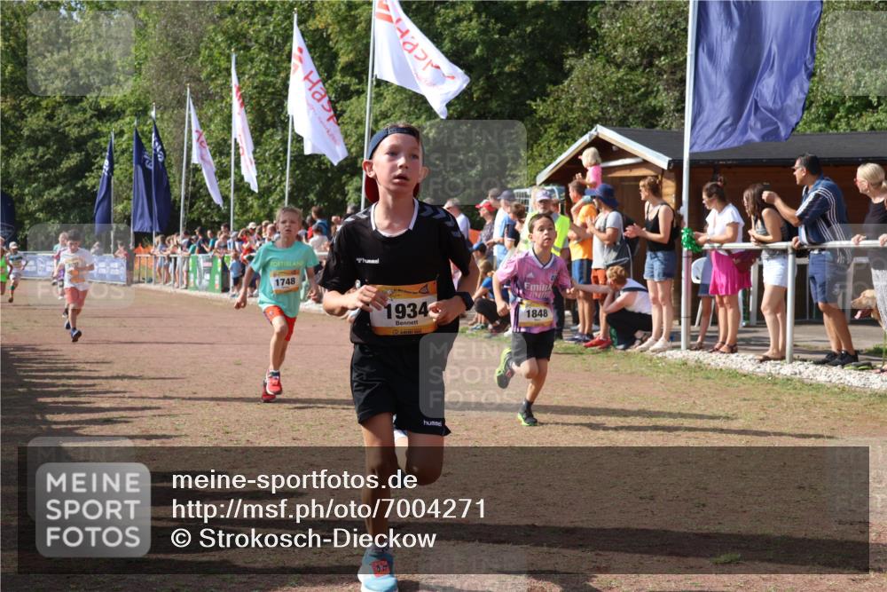 08.09.2024 - Airport Race Strokosch-Dieckow http://msf.ph/oto/7004271 08.09.2024 11:27:25 Ziel 1615, 1616, 1702, 1748, 1777, 1823, 1840, 1848, 1883, 1899, 1932, 1934, 3421, 3425, 3452 meine-sportfotos.de