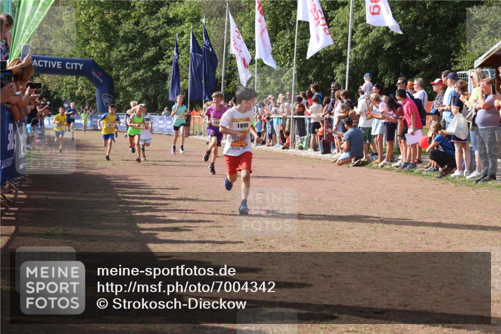 08.09.2024 - Airport Race Strokosch-Dieckow http://msf.ph/oto/7004342 08.09.2024 11:27:27 Ziel 1615, 1616, 1748, 1777, 1823, 1840, 1883, 1899, 1932, 3421, 3425, 3452 meine-sportfotos.de