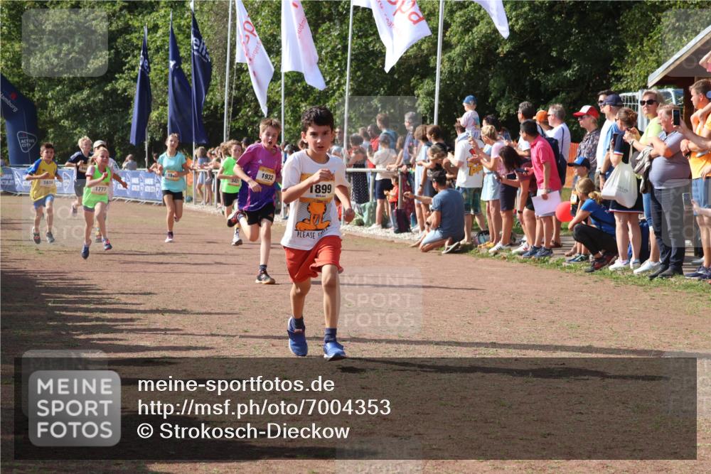 08.09.2024 - Airport Race Strokosch-Dieckow http://msf.ph/oto/7004353 08.09.2024 11:27:27 Ziel 1615, 1616, 1748, 1777, 1823, 1840, 1883, 1899, 1932, 3421, 3425, 3452 meine-sportfotos.de