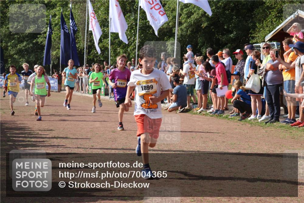 08.09.2024 - Airport Race Strokosch-Dieckow http://msf.ph/oto/7004365 08.09.2024 11:27:28 Ziel 1615, 1616, 1777, 1823, 1831, 1840, 1875, 1883, 1899, 1932, 3421, 3425, 3452 meine-sportfotos.de