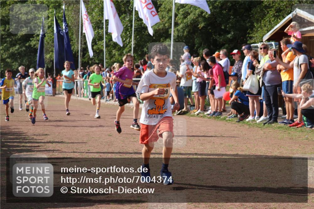 08.09.2024 - Airport Race Strokosch-Dieckow http://msf.ph/oto/7004374 08.09.2024 11:27:28 Ziel 1615, 1616, 1777, 1823, 1831, 1840, 1875, 1883, 1899, 1932, 3421, 3425, 3452 meine-sportfotos.de