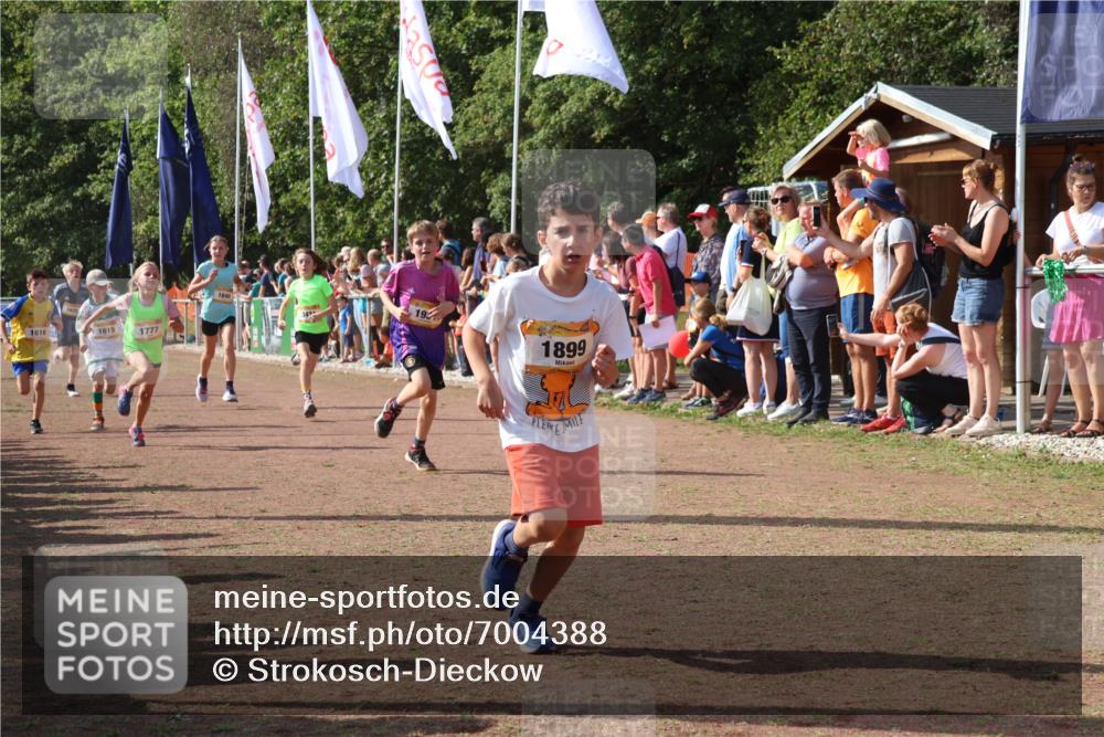 08.09.2024 - Airport Race Strokosch-Dieckow http://msf.ph/oto/7004388 08.09.2024 11:27:28 Ziel 1615, 1616, 1777, 1823, 1831, 1840, 1875, 1883, 1899, 1932, 3421, 3425, 3452 meine-sportfotos.de