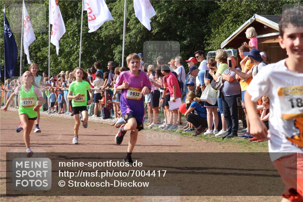 08.09.2024 - Airport Race Strokosch-Dieckow http://msf.ph/oto/7004417 08.09.2024 11:27:29 Ziel 1615, 1616, 1777, 1823, 1831, 1840, 1875, 1883, 1899, 1932, 3421, 3425, 3452 meine-sportfotos.de