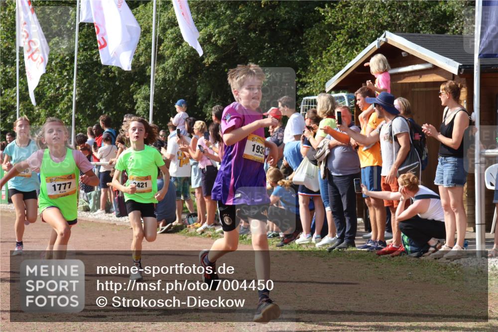 08.09.2024 - Airport Race Strokosch-Dieckow http://msf.ph/oto/7004450 08.09.2024 11:27:29 Ziel 1615, 1616, 1777, 1823, 1831, 1840, 1875, 1883, 1899, 1932, 3421, 3425, 3452 meine-sportfotos.de