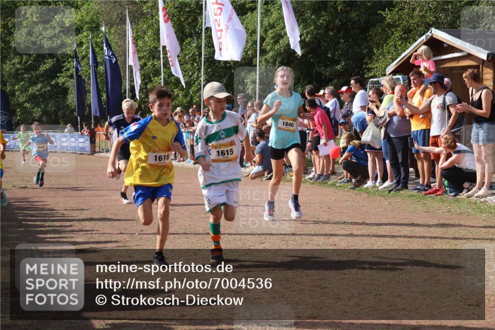 08.09.2024 - Airport Race Strokosch-Dieckow http://msf.ph/oto/7004536 08.09.2024 11:27:31 Ziel 1615, 1616, 1777, 1823, 1831, 1840, 1875, 1883, 1899, 1932, 3421, 3425, 3452 meine-sportfotos.de