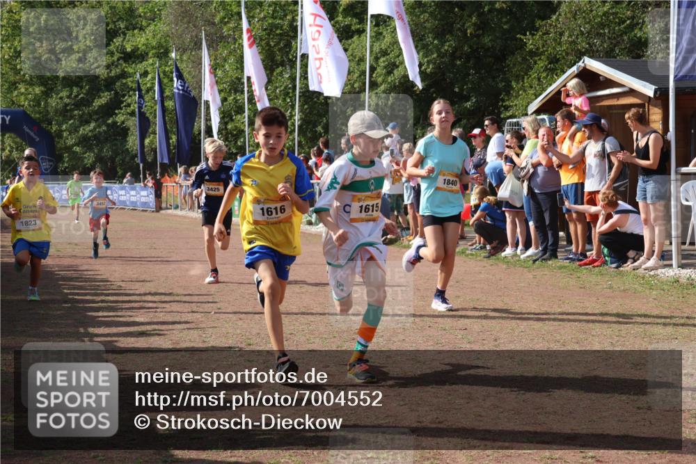08.09.2024 - Airport Race Strokosch-Dieckow http://msf.ph/oto/7004552 08.09.2024 11:27:31 Ziel 1615, 1616, 1777, 1823, 1831, 1840, 1875, 1883, 1899, 1932, 3421, 3425, 3452 meine-sportfotos.de