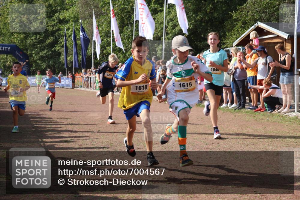 08.09.2024 - Airport Race Strokosch-Dieckow http://msf.ph/oto/7004567 08.09.2024 11:27:31 Ziel 1615, 1616, 1777, 1823, 1831, 1840, 1875, 1883, 1899, 1932, 3421, 3425, 3452 meine-sportfotos.de