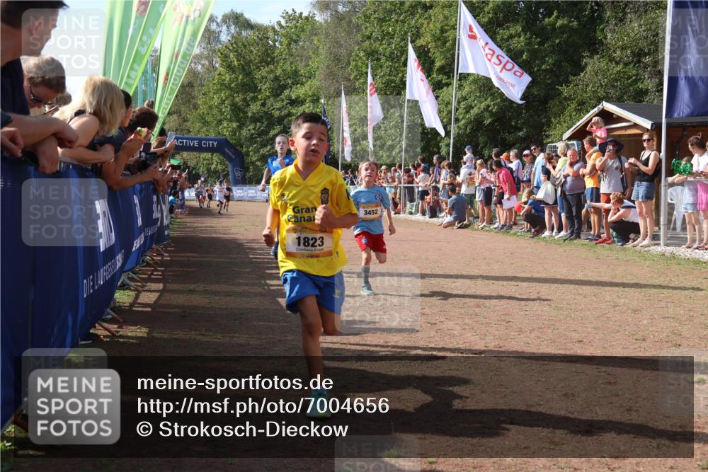 08.09.2024 - Airport Race Strokosch-Dieckow http://msf.ph/oto/7004656 08.09.2024 11:27:33 Ziel 1608, 1823, 1831, 1840, 1869, 1875, 1883, 1900, 3425, 3452 meine-sportfotos.de