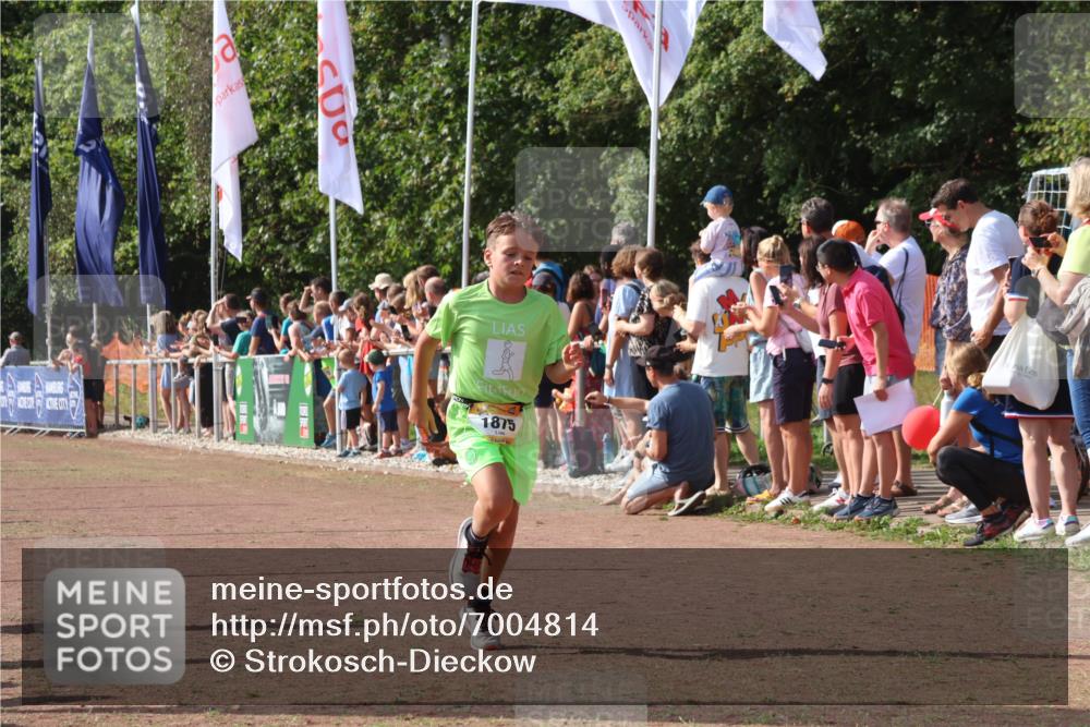 08.09.2024 - Airport Race Strokosch-Dieckow http://msf.ph/oto/7004814 08.09.2024 11:27:37 Ziel 1608, 1781, 1808, 1831, 1869, 1875, 1900, 1904, 3405, 3446 meine-sportfotos.de