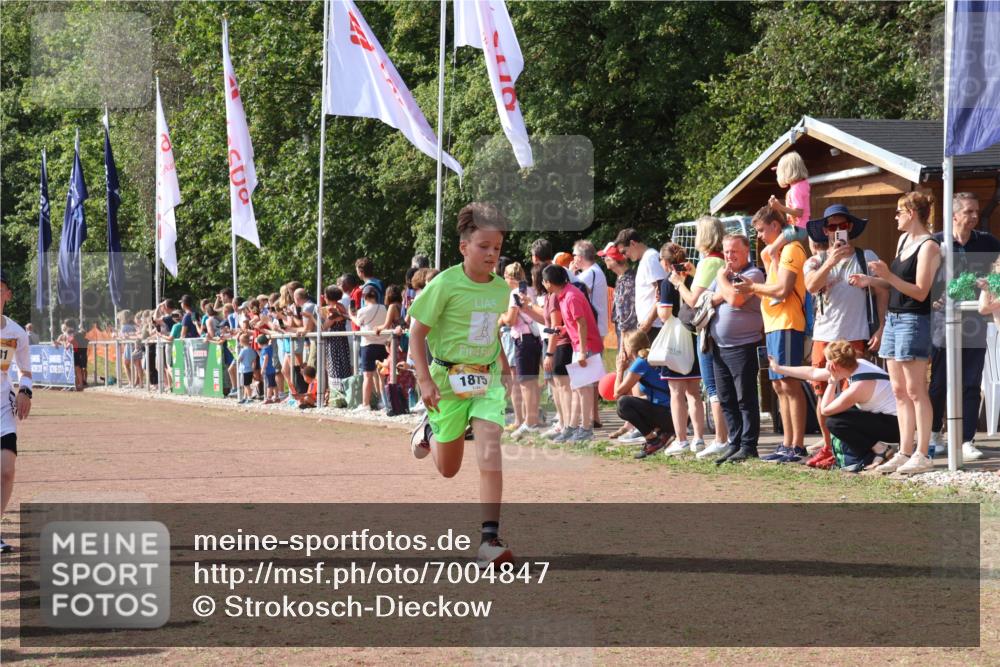 08.09.2024 - Airport Race Strokosch-Dieckow http://msf.ph/oto/7004847 08.09.2024 11:27:37 Ziel 1608, 1781, 1808, 1831, 1869, 1875, 1900, 1904, 3405, 3446 meine-sportfotos.de