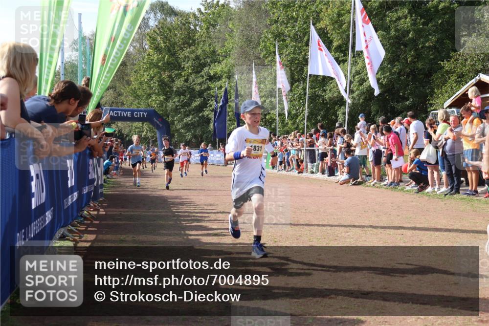 08.09.2024 - Airport Race Strokosch-Dieckow http://msf.ph/oto/7004895 08.09.2024 11:27:38 Ziel 1608, 1781, 1808, 1820, 1831, 1869, 1875, 1900, 1904, 3405, 3416, 3417, 3446 meine-sportfotos.de