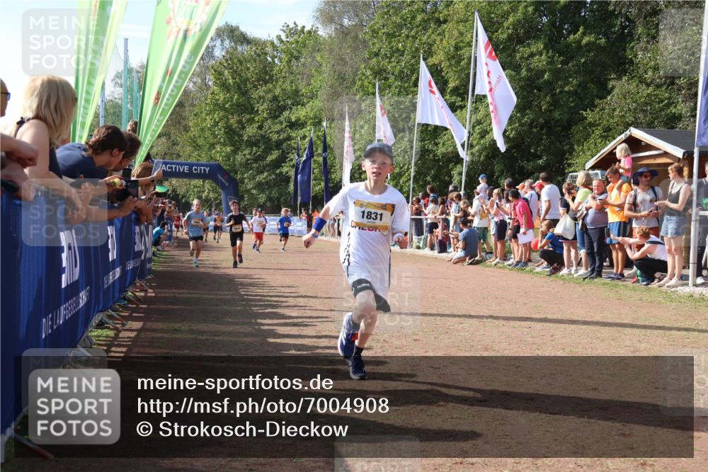 08.09.2024 - Airport Race Strokosch-Dieckow http://msf.ph/oto/7004908 08.09.2024 11:27:38 Ziel 1608, 1781, 1808, 1820, 1831, 1869, 1875, 1900, 1904, 3405, 3416, 3417, 3446 meine-sportfotos.de