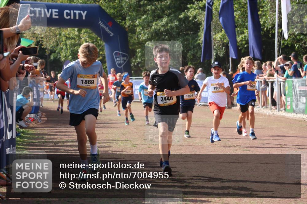 08.09.2024 - Airport Race Strokosch-Dieckow http://msf.ph/oto/7004955 08.09.2024 11:27:40 Ziel 1608, 1746, 1781, 1808, 1820, 1831, 1866, 1869, 1875, 1900, 1902, 1904, 1927, 3405, 3416, 3417, 3446 meine-sportfotos.de
