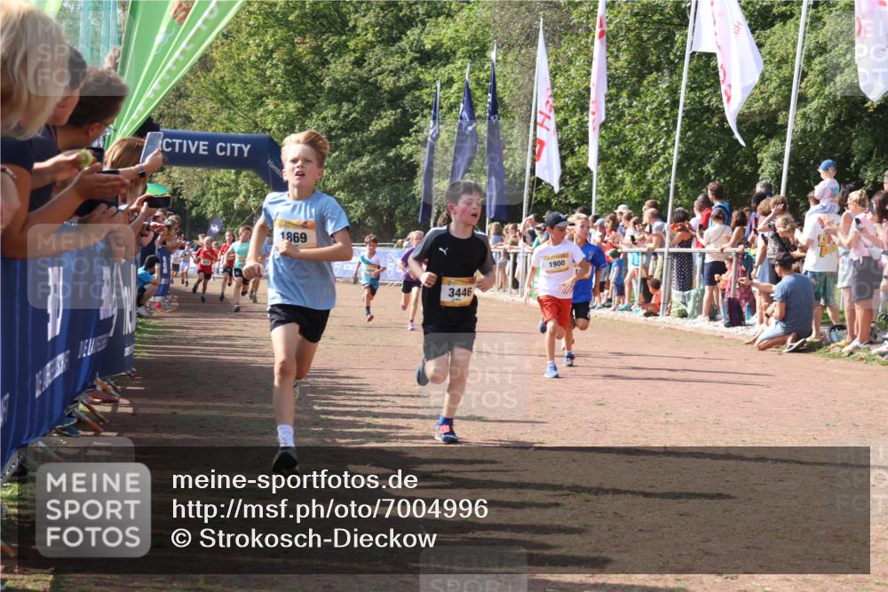 08.09.2024 - Airport Race Strokosch-Dieckow http://msf.ph/oto/7004996 08.09.2024 11:27:41 Ziel 1608, 1746, 1781, 1808, 1820, 1866, 1869, 1900, 1902, 1904, 1927, 3405, 3416, 3417, 3429, 3446 meine-sportfotos.de