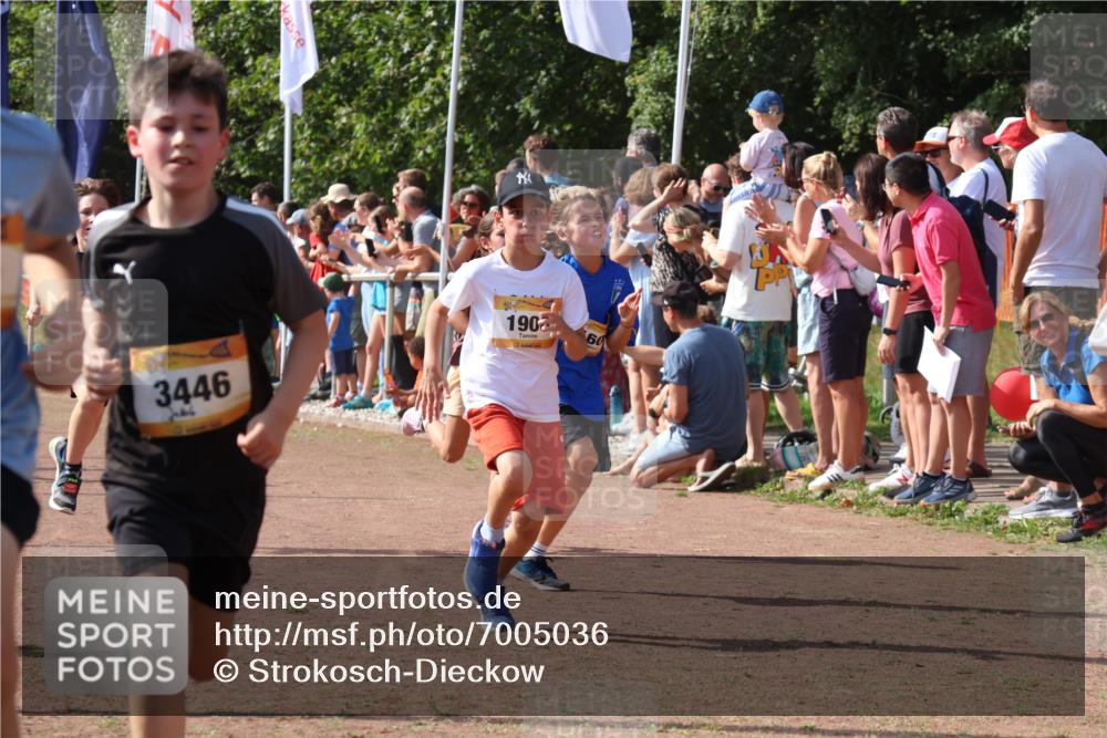 08.09.2024 - Airport Race Strokosch-Dieckow http://msf.ph/oto/7005036 08.09.2024 11:27:42 Ziel 1608, 1746, 1781, 1808, 1812, 1820, 1866, 1869, 1900, 1902, 1904, 1927, 3405, 3416, 3417, 3429, 3446 meine-sportfotos.de