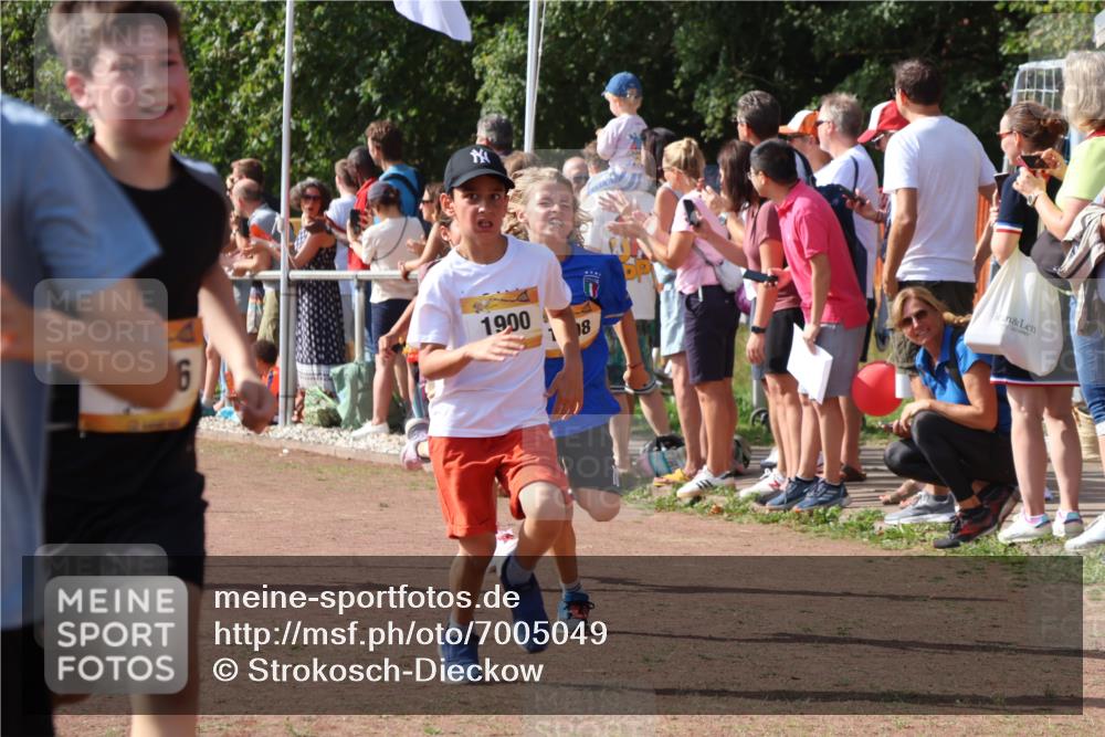 08.09.2024 - Airport Race Strokosch-Dieckow http://msf.ph/oto/7005049 08.09.2024 11:27:42 Ziel 1608, 1746, 1781, 1808, 1812, 1820, 1866, 1869, 1900, 1902, 1904, 1927, 3405, 3416, 3417, 3429, 3446 meine-sportfotos.de