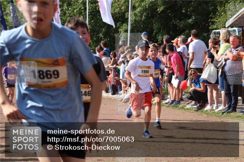 08.09.2024 - Airport Race Strokosch-Dieckow http://msf.ph/oto/7005063 08.09.2024 11:27:42 Ziel 1608, 1746, 1781, 1808, 1812, 1820, 1866, 1869, 1900, 1902, 1904, 1927, 3405, 3416, 3417, 3429, 3446 meine-sportfotos.de
