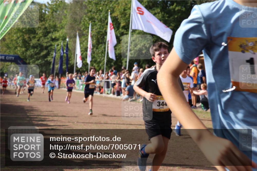 08.09.2024 - Airport Race Strokosch-Dieckow http://msf.ph/oto/7005071 08.09.2024 11:27:43 Ziel 1608, 1746, 1781, 1808, 1812, 1820, 1866, 1869, 1900, 1902, 1904, 1927, 3405, 3416, 3417, 3429, 3446 meine-sportfotos.de