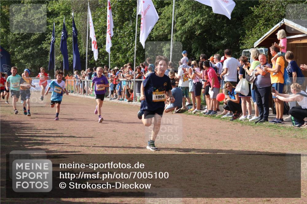 08.09.2024 - Airport Race Strokosch-Dieckow http://msf.ph/oto/7005100 08.09.2024 11:27:44 Ziel 1607, 1608, 1746, 1781, 1808, 1812, 1820, 1866, 1869, 1900, 1902, 1904, 1912, 1927, 3405, 3416, 3417, 3429, 3446 meine-sportfotos.de