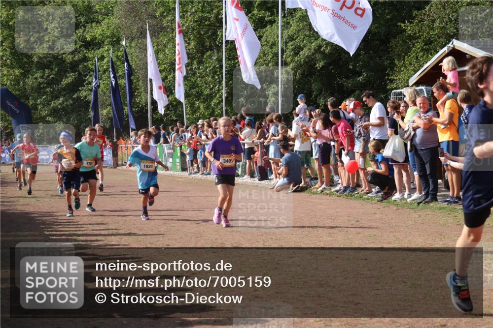 08.09.2024 - Airport Race Strokosch-Dieckow http://msf.ph/oto/7005159 08.09.2024 11:27:45 Ziel 1607, 1608, 1646, 1746, 1781, 1808, 1812, 1820, 1866, 1900, 1902, 1904, 1912, 1927, 3405, 3416, 3417, 3429, 3446 meine-sportfotos.de