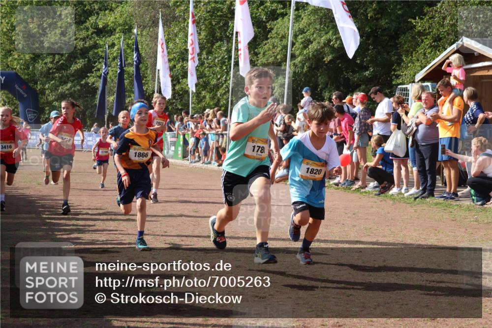 08.09.2024 - Airport Race Strokosch-Dieckow http://msf.ph/oto/7005263 08.09.2024 11:27:47 Ziel 1607, 1646, 1746, 1781, 1812, 1820, 1860, 1866, 1902, 1904, 1912, 1927, 3405, 3415, 3416, 3417, 3429 meine-sportfotos.de