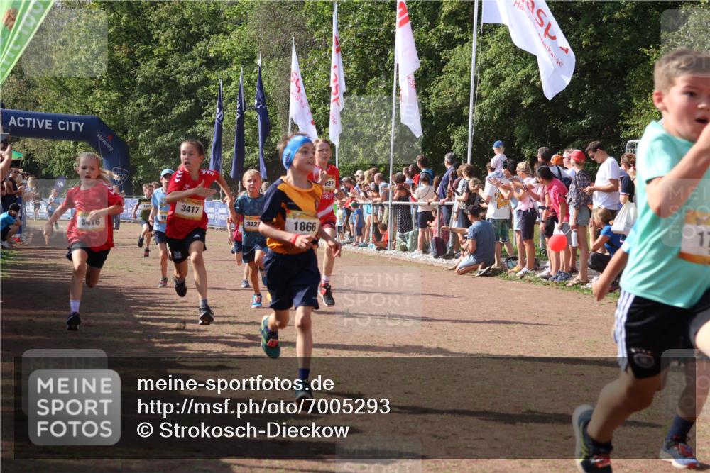 08.09.2024 - Airport Race Strokosch-Dieckow http://msf.ph/oto/7005293 08.09.2024 11:27:47 Ziel 1607, 1646, 1746, 1781, 1812, 1820, 1860, 1866, 1902, 1904, 1912, 1927, 3405, 3415, 3416, 3417, 3429 meine-sportfotos.de