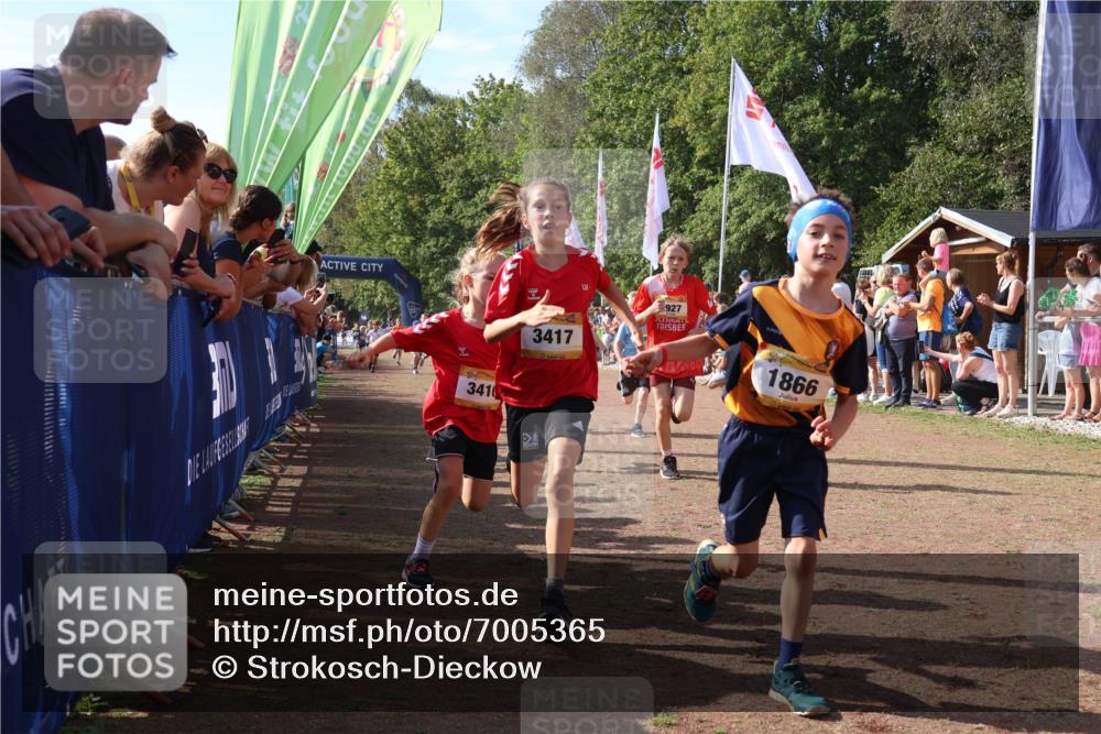 08.09.2024 - Airport Race Strokosch-Dieckow http://msf.ph/oto/7005365 08.09.2024 11:27:49 Ziel 1607, 1633, 1642, 1646, 1719, 1746, 1781, 1812, 1820, 1860, 1866, 1885, 1892, 1902, 1912, 1927, 3405, 3415, 3416, 3417, 3429 meine-sportfotos.de