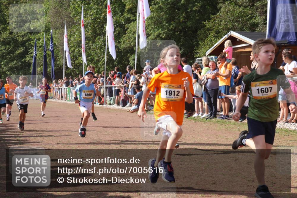 08.09.2024 - Airport Race Strokosch-Dieckow http://msf.ph/oto/7005616 08.09.2024 11:27:54 Ziel 1607, 1633, 1642, 1646, 1719, 1812, 1818, 1843, 1860, 1885, 1892, 1912, 3415, 3422, 3432 meine-sportfotos.de
