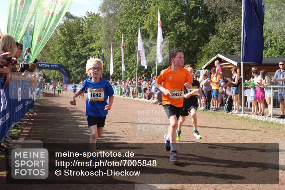 08.09.2024 - Airport Race Strokosch-Dieckow http://msf.ph/oto/7005848 08.09.2024 11:27:59 Ziel 1633, 1642, 1719, 1755, 1770, 1818, 1843, 1860, 1885, 1892, 1929, 3415, 3422, 3432 meine-sportfotos.de