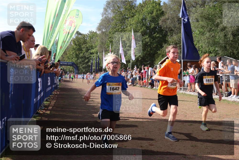 08.09.2024 - Airport Race Strokosch-Dieckow http://msf.ph/oto/7005866 08.09.2024 11:27:59 Ziel 1633, 1642, 1719, 1755, 1770, 1818, 1843, 1860, 1885, 1892, 1929, 3415, 3422, 3432 meine-sportfotos.de