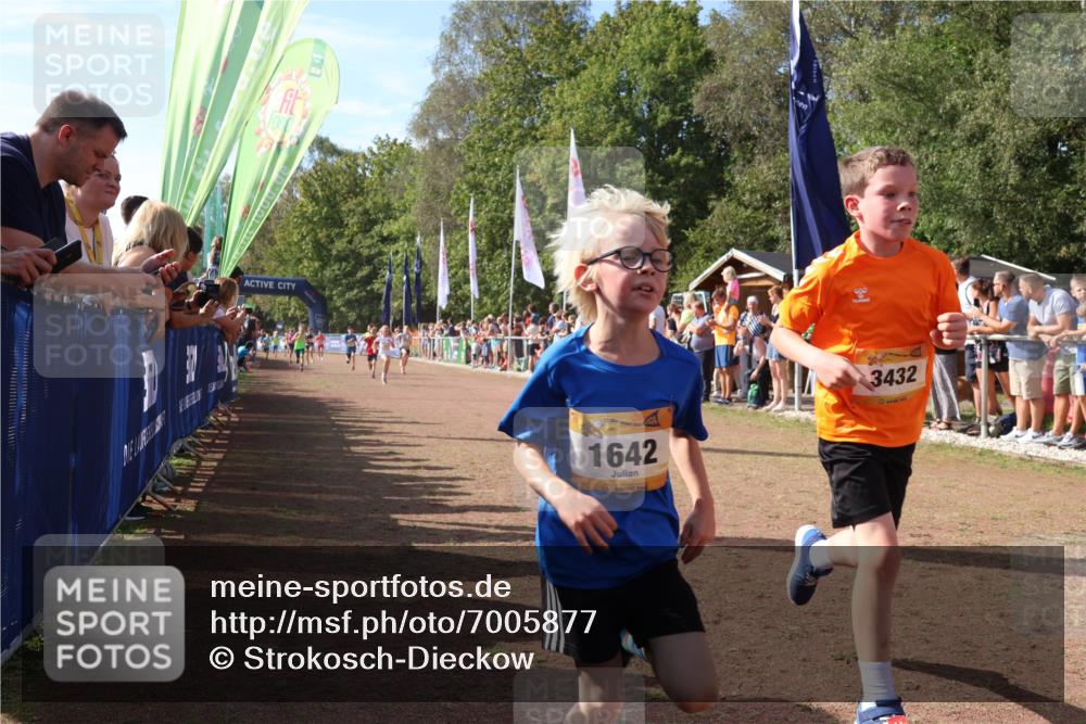 08.09.2024 - Airport Race Strokosch-Dieckow http://msf.ph/oto/7005877 08.09.2024 11:28:00 Ziel 1633, 1642, 1719, 1755, 1770, 1818, 1843, 1885, 1892, 1911, 1929, 3422, 3432 meine-sportfotos.de