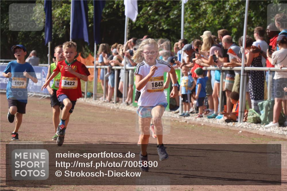 08.09.2024 - Airport Race Strokosch-Dieckow http://msf.ph/oto/7005890 08.09.2024 11:28:01 Ziel 1626, 1642, 1755, 1763, 1770, 1818, 1843, 1892, 1895, 1911, 1929, 3422, 3432 meine-sportfotos.de