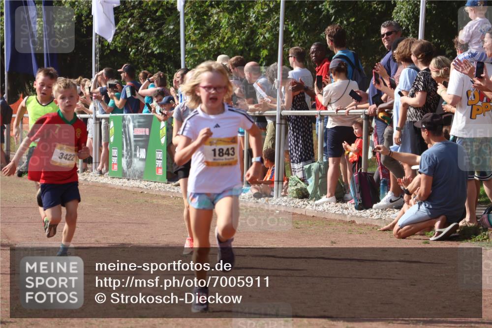 08.09.2024 - Airport Race Strokosch-Dieckow http://msf.ph/oto/7005911 08.09.2024 11:28:02 Ziel 1626, 1726, 1738, 1755, 1763, 1768, 1770, 1818, 1843, 1895, 1911, 1929, 3422, 3432 meine-sportfotos.de