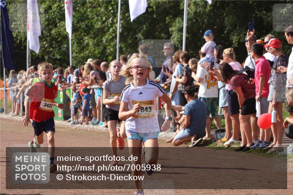 08.09.2024 - Airport Race Strokosch-Dieckow http://msf.ph/oto/7005938 08.09.2024 11:28:02 Ziel 1626, 1726, 1738, 1755, 1763, 1768, 1770, 1818, 1843, 1895, 1911, 1929, 3422, 3432 meine-sportfotos.de