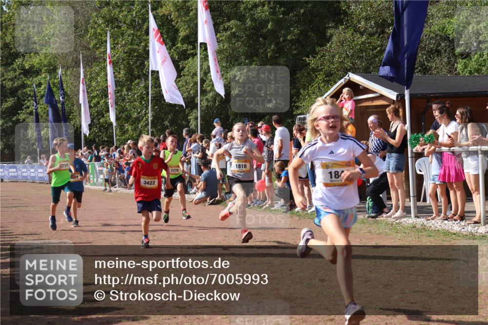 08.09.2024 - Airport Race Strokosch-Dieckow http://msf.ph/oto/7005993 08.09.2024 11:28:03 Ziel 1622, 1626, 1653, 1726, 1738, 1755, 1763, 1768, 1770, 1809, 1818, 1821, 1843, 1895, 1911, 1929, 3422, 3432 meine-sportfotos.de
