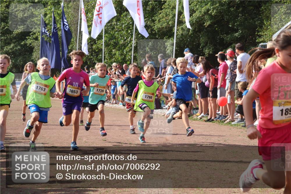 08.09.2024 - Airport Race Strokosch-Dieckow http://msf.ph/oto/7006292 08.09.2024 11:28:10 Ziel 1622, 1626, 1653, 1706, 1709, 1726, 1738, 1763, 1768, 1809, 1821, 1895, 1911, 3435 meine-sportfotos.de