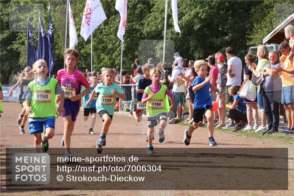 08.09.2024 - Airport Race Strokosch-Dieckow http://msf.ph/oto/7006304 08.09.2024 11:28:11 Ziel 1622, 1626, 1653, 1706, 1709, 1726, 1738, 1763, 1768, 1809, 1821, 1895, 1911, 3435 meine-sportfotos.de