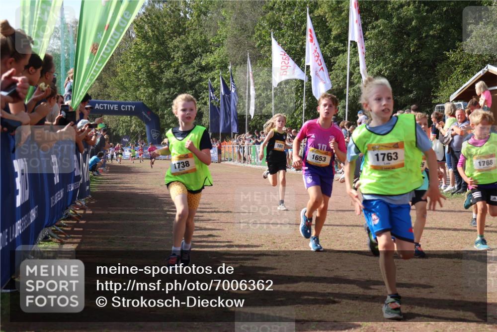 08.09.2024 - Airport Race Strokosch-Dieckow http://msf.ph/oto/7006362 08.09.2024 11:28:12 Ziel 1622, 1626, 1653, 1706, 1709, 1726, 1738, 1763, 1768, 1809, 1821, 1895, 1911, 3435 meine-sportfotos.de
