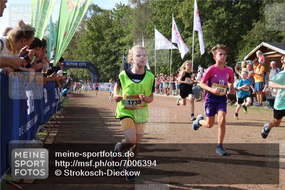 08.09.2024 - Airport Race Strokosch-Dieckow http://msf.ph/oto/7006394 08.09.2024 11:28:12 Ziel 1622, 1626, 1653, 1706, 1709, 1726, 1738, 1763, 1768, 1809, 1821, 1895, 1911, 3435 meine-sportfotos.de