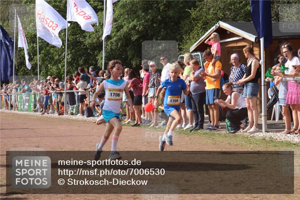 08.09.2024 - Airport Race Strokosch-Dieckow http://msf.ph/oto/7006530 08.09.2024 11:28:16 Ziel 1602, 1606, 1609, 1618, 1706, 1709, 1762, 1827, 1881, 1890, 3435 meine-sportfotos.de