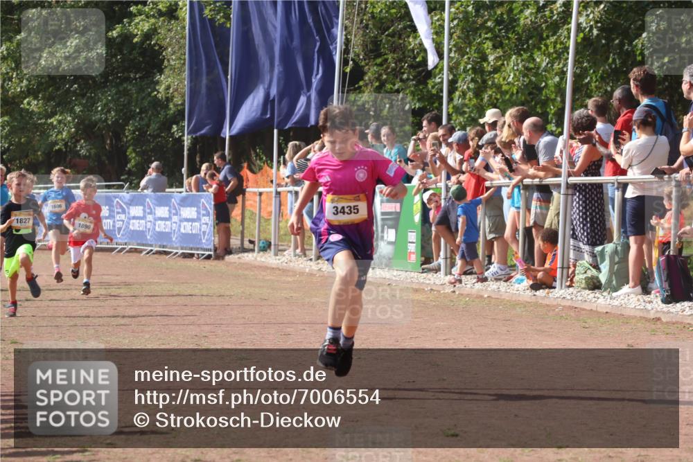 08.09.2024 - Airport Race Strokosch-Dieckow http://msf.ph/oto/7006554 08.09.2024 11:28:17 Ziel 1602, 1606, 1609, 1618, 1706, 1709, 1742, 1762, 1819, 1827, 1830, 1881, 1890, 3408, 3435 meine-sportfotos.de