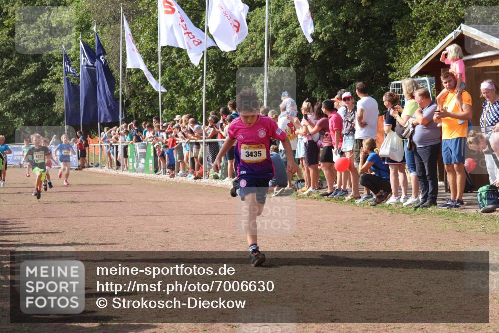 08.09.2024 - Airport Race Strokosch-Dieckow http://msf.ph/oto/7006630 08.09.2024 11:28:19 Ziel 1602, 1606, 1609, 1618, 1698, 1706, 1709, 1742, 1762, 1819, 1827, 1830, 1881, 1890, 3408, 3435 meine-sportfotos.de