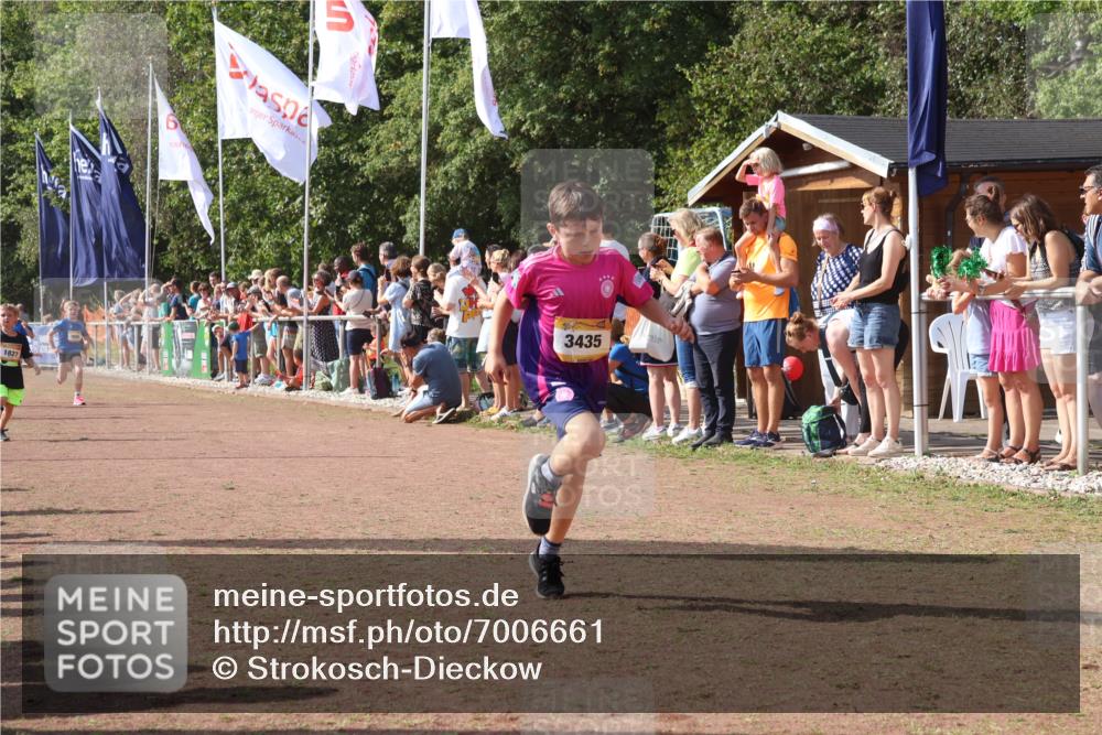 08.09.2024 - Airport Race Strokosch-Dieckow http://msf.ph/oto/7006661 08.09.2024 11:28:19 Ziel 1602, 1606, 1609, 1618, 1698, 1706, 1709, 1742, 1762, 1819, 1827, 1830, 1881, 1890, 3408, 3435 meine-sportfotos.de