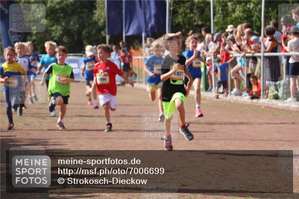 08.09.2024 - Airport Race Strokosch-Dieckow http://msf.ph/oto/7006699 08.09.2024 11:28:21 Ziel 1602, 1606, 1609, 1618, 1632, 1698, 1742, 1762, 1819, 1827, 1830, 1881, 1890, 3408, 3435 meine-sportfotos.de