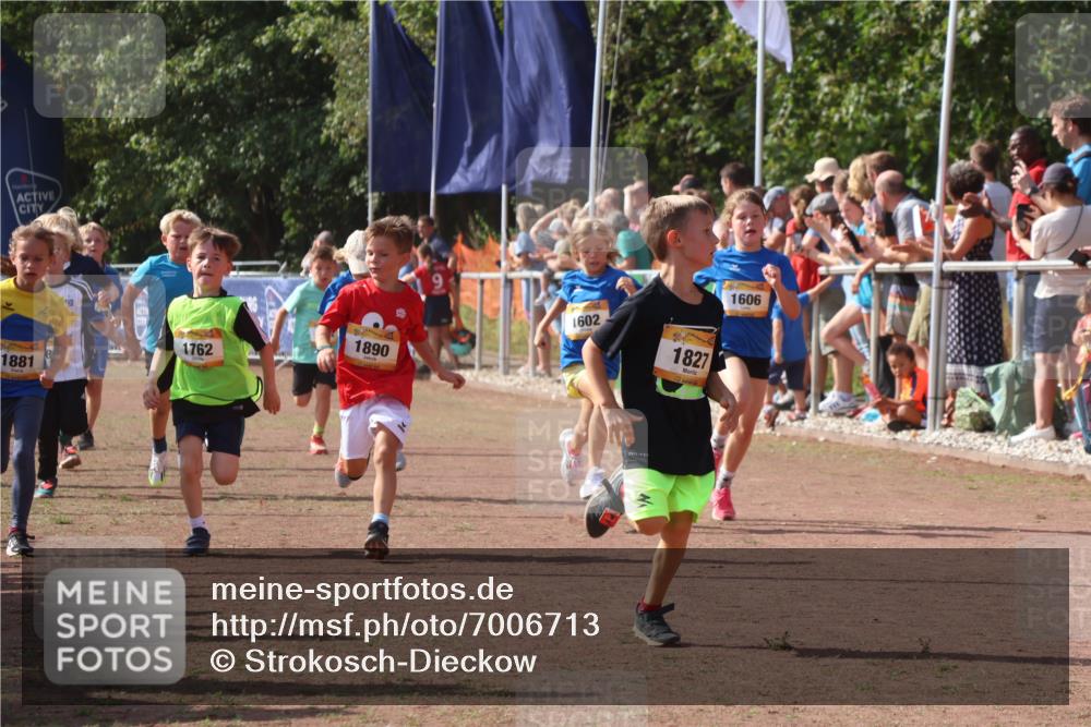 08.09.2024 - Airport Race Strokosch-Dieckow http://msf.ph/oto/7006713 08.09.2024 11:28:21 Ziel 1602, 1606, 1609, 1618, 1632, 1698, 1742, 1762, 1819, 1827, 1830, 1881, 1890, 3408, 3435 meine-sportfotos.de