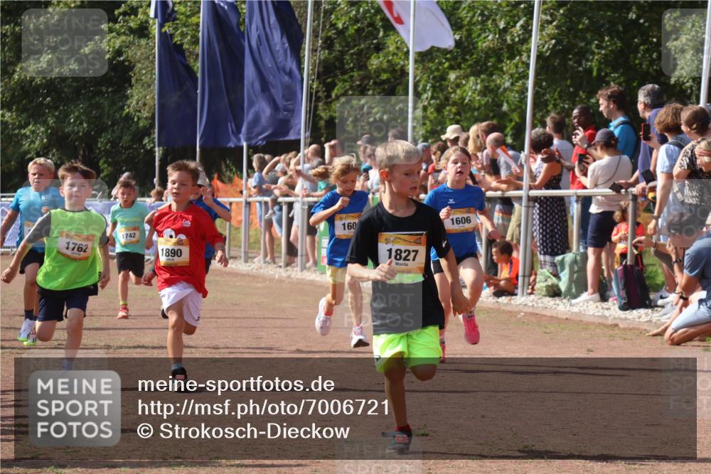 08.09.2024 - Airport Race Strokosch-Dieckow http://msf.ph/oto/7006721 08.09.2024 11:28:21 Ziel 1602, 1606, 1609, 1618, 1632, 1698, 1742, 1762, 1819, 1827, 1830, 1881, 1890, 3408, 3435 meine-sportfotos.de