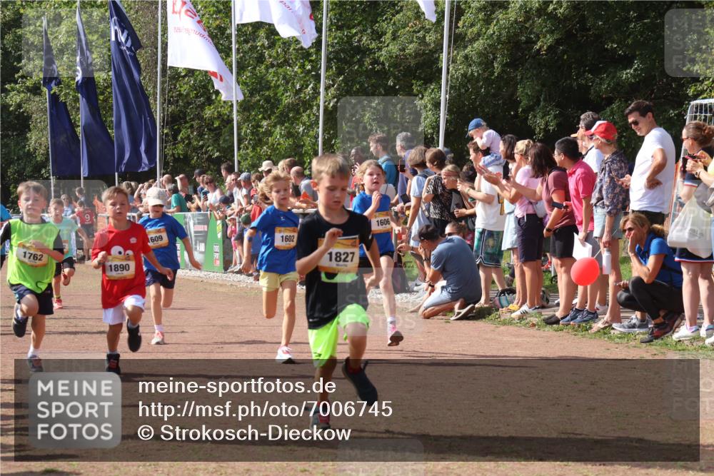 08.09.2024 - Airport Race Strokosch-Dieckow http://msf.ph/oto/7006745 08.09.2024 11:28:22 Ziel 1602, 1606, 1609, 1618, 1632, 1698, 1742, 1762, 1819, 1827, 1830, 1881, 1890, 3408, 3435 meine-sportfotos.de