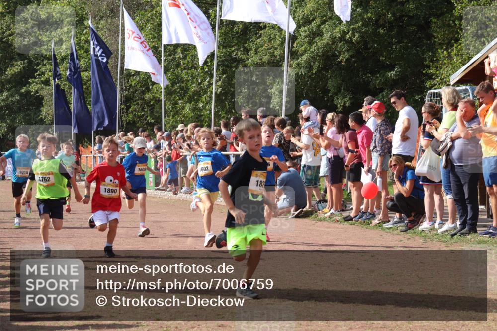 08.09.2024 - Airport Race Strokosch-Dieckow http://msf.ph/oto/7006759 08.09.2024 11:28:22 Ziel 1602, 1606, 1609, 1618, 1632, 1698, 1742, 1762, 1819, 1827, 1830, 1881, 1890, 3408, 3435 meine-sportfotos.de