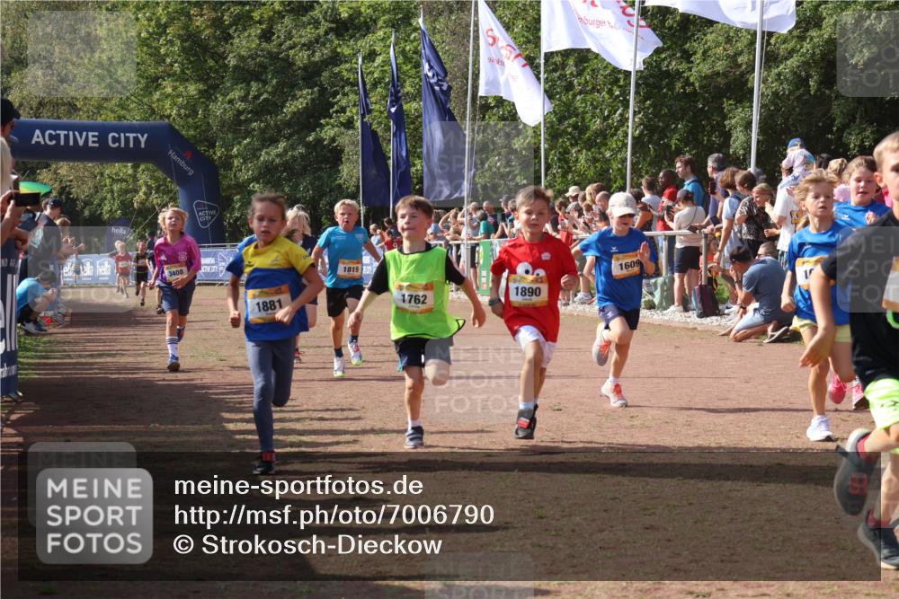 08.09.2024 - Airport Race Strokosch-Dieckow http://msf.ph/oto/7006790 08.09.2024 11:28:23 Ziel 1602, 1606, 1609, 1618, 1632, 1698, 1742, 1762, 1819, 1827, 1830, 1881, 1890, 3408 meine-sportfotos.de